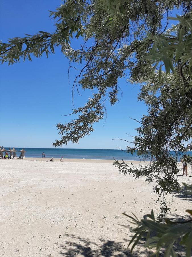 Eka Studio - Pool & Spa Beach Resort Năvodari Eksteriør billede